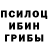 Псилоцибиновые грибы мицелий 13.000 88.000