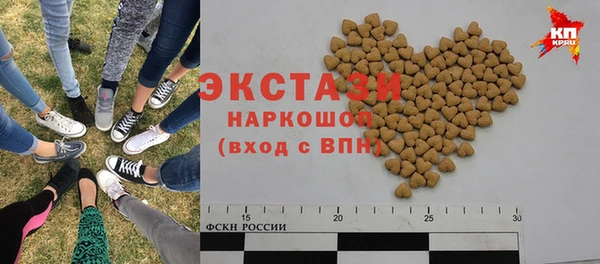 индика Надым