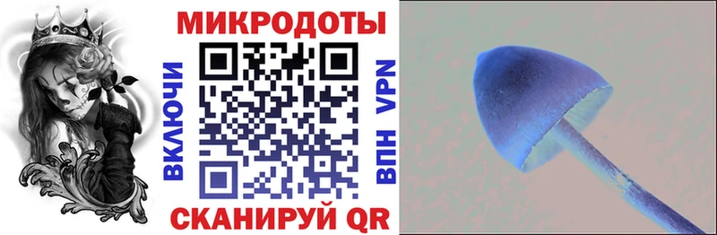Псилоцибиновые грибы мицелий даркнет сайт Калач-на-Дону