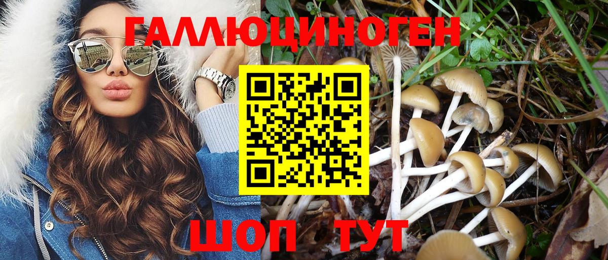 Псилоцибиновые грибы ЛСД  Калач-на-Дону 