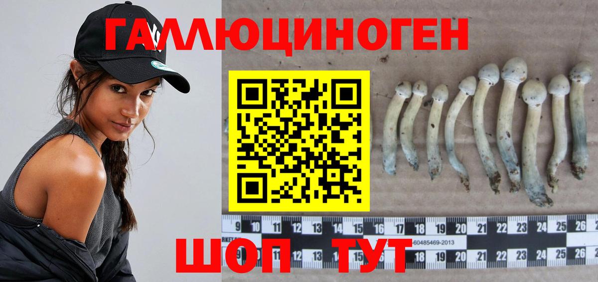 Галлюциногенные грибы мицелий Калач-на-Дону