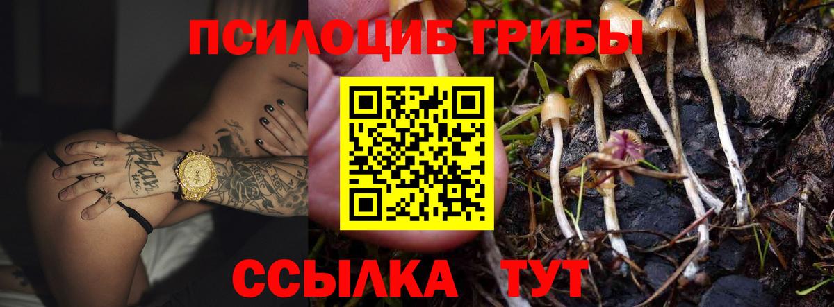 Галлюциногенные грибы ЛСД  Вход с VPN  Калач-на-Дону 